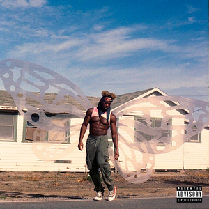 扒开腿挺进湿润的花茎
