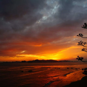 扒开腿挺进湿润的花茎
